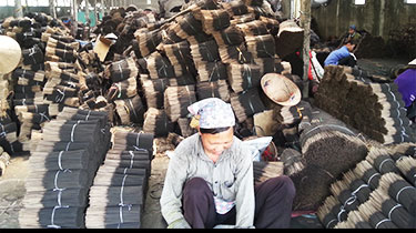 Hương trầm và nguyên liệu trầm hương