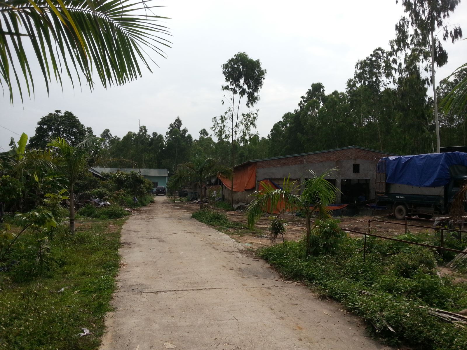 Hương nhang và nguyên liệu trầm hương 1